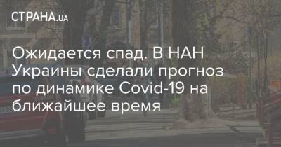 Ожидается спад. В НАН Украины сделали прогноз по динамике Covid-19 на ближайшее время - strana.ua