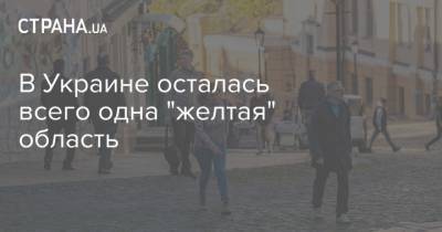 В Украине осталась всего одна "желтая" область - strana.ua - Киев