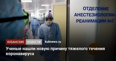 Ученые нашли новую причину тяжелого течения коронавируса - kubnews.ru