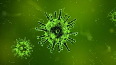 Новая мутация коронавируса сделала его нечувствительным к холоду - inforeactor.ru - Тайвань