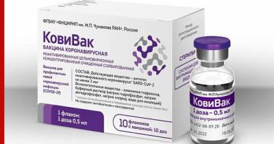 Михаил Мурашко - Мурашко: в апреле станут доступны первые партии вакцины от коронавируса "КовиВак" - profile.ru - Россия