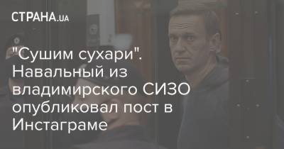 Алексей Навальный - "Сушим сухари". Навальный из владимирского СИЗО опубликовал пост в Инстаграме - strana.ua - Россия - Владимирская обл.