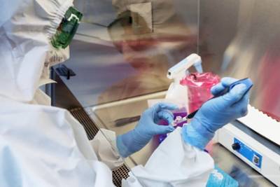 Обнаружены первые случаи «вечного» заражения коронавирусом - lenta.ru - штат Калифорния