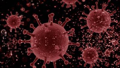 Пациенты с лейкемией рискуют заболеть "вечным" COVID-19 - newinform.com - штат Калифорния