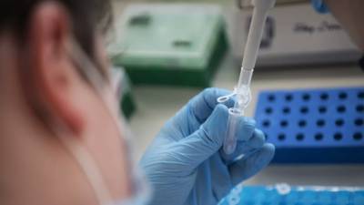 В России провели более 112 млн тестов на коронавирус - russian.rt.com - Россия