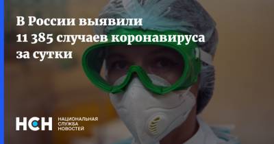 В России выявили 11 385 случаев коронавируса за сутки - nsn.fm - Россия