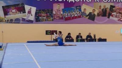 В Пензе после перерыва состоится чемпионат по спортивной гимнастике - penzainform.ru - Россия - Пенза