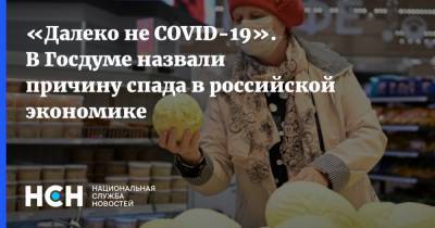 Сергей Калашников - «Далеко не COVID-19». В Госдуме назвали причину спада в российской экономике - nsn.fm - Россия