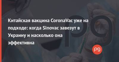 Китайская вакцина CoronaVac уже на подходе: когда Sinovac завезут в Украину и насколько она эффективна - thepage.ua - Турция - Китай
