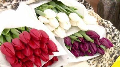 В Пензе к 8 Марта организовали 12 цветочных ярмарок - penzainform.ru - Пенза