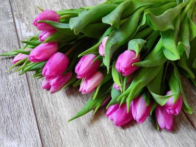 Специалисты рассказали, как выбрать цветы к 8 марта - afanasy.biz - Тверь