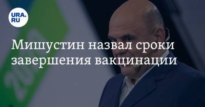 Михаил Мишустин - Мишустин назвал сроки завершения вакцинации - ura.news - Россия
