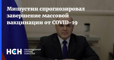 Михаил Мишустин - Мишустин спрогнозировал завершение массовой вакцинации от COVID-19 - nsn.fm - Россия