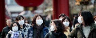 В Японии создали пластиковую карту, уничтожающую вирусы - runews24.ru