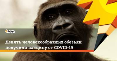 Девять человекообразных обезьян получили вакцину от COVID-19 - ridus.ru - Сан-Диего
