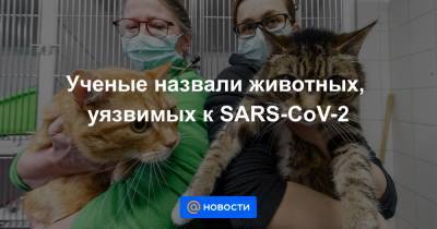 Ученые назвали животных, уязвимых к SARS-CoV-2 - news.mail.ru