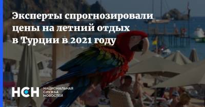 Андрей Игнатьев - Эксперты спрогнозировали цены на летний отдых в Турции в 2021 году - nsn.fm - Россия - Турция