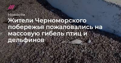 Жители Черноморского побережья пожаловались на массовую гибель птиц и дельфинов - tvrain.ru - Анапа