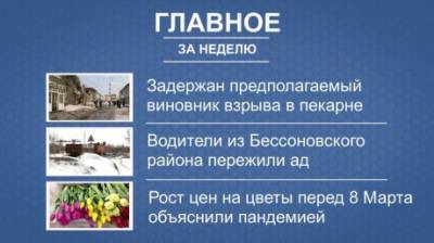 Новости недели: взрыв в пекарне, ад на Аустрина, «золотые» цветы - penzainform.ru