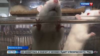 Донские ученые занялись исследованием передачи вирусов между животными и человеком - dontr.ru