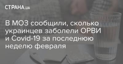 В МОЗ сообщили, сколько украинцев заболели ОРВИ и Covid-19 за последнюю неделю февраля - strana.ua