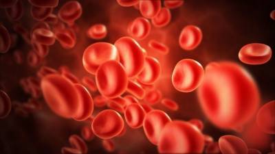 Юлия Ненашева - Гематолог рассказал о связи группы крови и предрасположенности к онкологии - 5-tv.ru