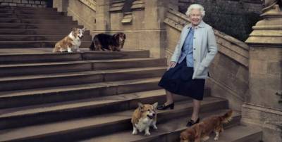 принц Филипп - Елизавета Великобритании - Королеве Великобритании подарили двух щенков корги - inform-ua.info