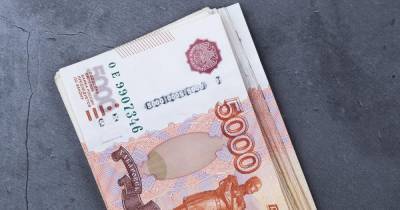 Владимир Мау - Экономист назвал условие для роста зарплат россиян в 2021 году - ren.tv - Россия