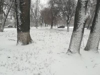 В Запорожье выпал первый весенний снег - inform.zp.ua - Украина - Запорожье