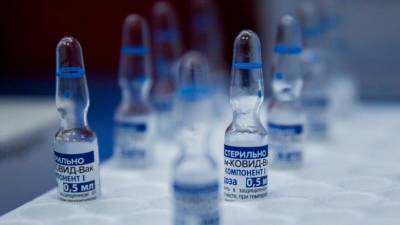 Дмитрий Чередниченко - Стало известно, когда Белоруссия запустит производство вакцины «Спутник V» - 5-tv.ru - Россия