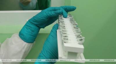 В мире за сутки выявили более 354 тыс. случаев заражения коронавирусом - belta.by - Минск
