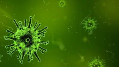 Эпидемия коронавируса в России может пойти на спад этим летом - newinform.com - Россия