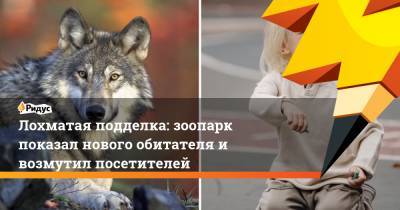 Лохматая подделка: зоопарк показал нового обитателя и возмутил посетителей - ridus.ru - Китай