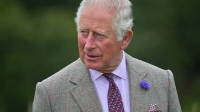 принц Гарри - принц Чарльз - Принц Чарльз не стал комментировать скандальное интервью своего сына и невестки - mir24.tv