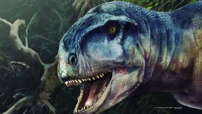 В Аргентине палеонтологи нашли новые вид хищных динозавров - newdaynews.ru - Аргентина
