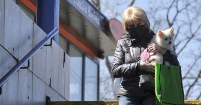 Количество инфицированных растет, летальных случаев снова рекорд: коронавирус в регионах 1 апреля - tsn.ua