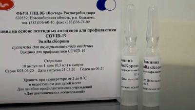 В РФ уменьшили стоимость вакцины от коронавируса "ЭпиВакКорона" - newinform.com - Россия - Новосибирск