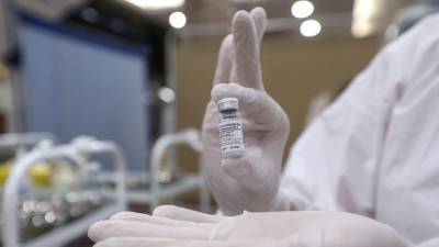 Александр Гинцбург - Гинцбург допустил пожизненный иммунитет после прививки «Спутником V» - russian.rt.com