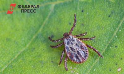 Появится ли лекарство от клещевого энцефалита: ученые сделали заявление - fedpress.ru - Москва