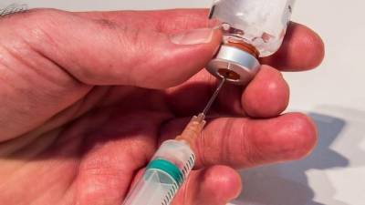 Михаил Мурашко - В Петербурге создают еще одну вакцину от коронавируса - piter.tv - Россия - Санкт-Петербург