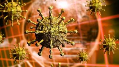 Михаил Мурашко - Мурашко заявил, что коронавирус в два раза превосходит грипп по числу осложнений - 5-tv.ru - Россия