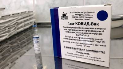 Себастьян Курц - Канцлер Австрии допустил закупку российской вакцины "Спутник V" - politros.com - Россия - Австрия