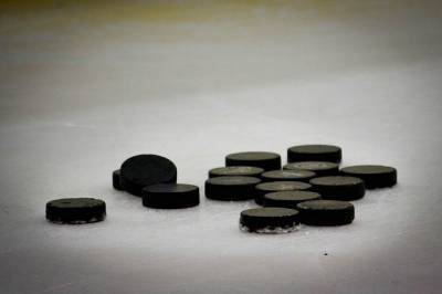 Начало плей-офф НХЛ перенесли на неопределённый срок - aif.ru