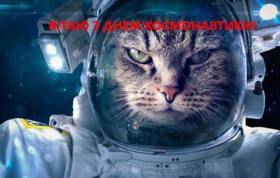 День космонавтики: поздравления, шуточные смс и веселые открытки - narodna-pravda.ua - Украина - Чехия
