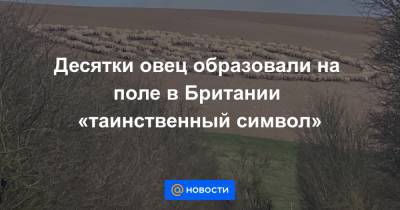 Десятки овец образовали на поле в Британии «таинственный символ» - news.mail.ru - Англия
