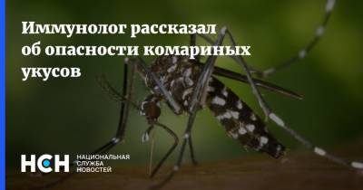 Алексей Бессмертный - Иммунолог рассказал об опасности комариных укусов - nsn.fm