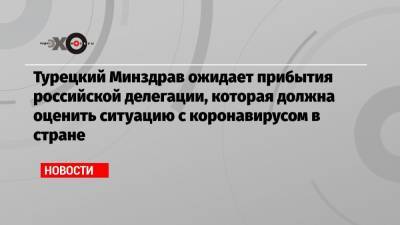 Турецкий Минздрав ожидает прибытия российской делегации, которая должна оценить ситуацию с коронавирусом в стране - echo.msk.ru - Москва - Турция - Стамбул - Танзания