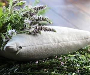 Травяная подушка: сила трав для хорошего сна - goodnews.ua