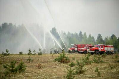 Урожай фермеров хотят застраховать от лесных пожаров - pnp.ru