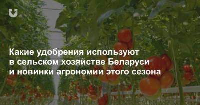 Какие удобрения используют в сельском хозяйстве Беларуси и новинки агрономии этого сезона - news.tut.by